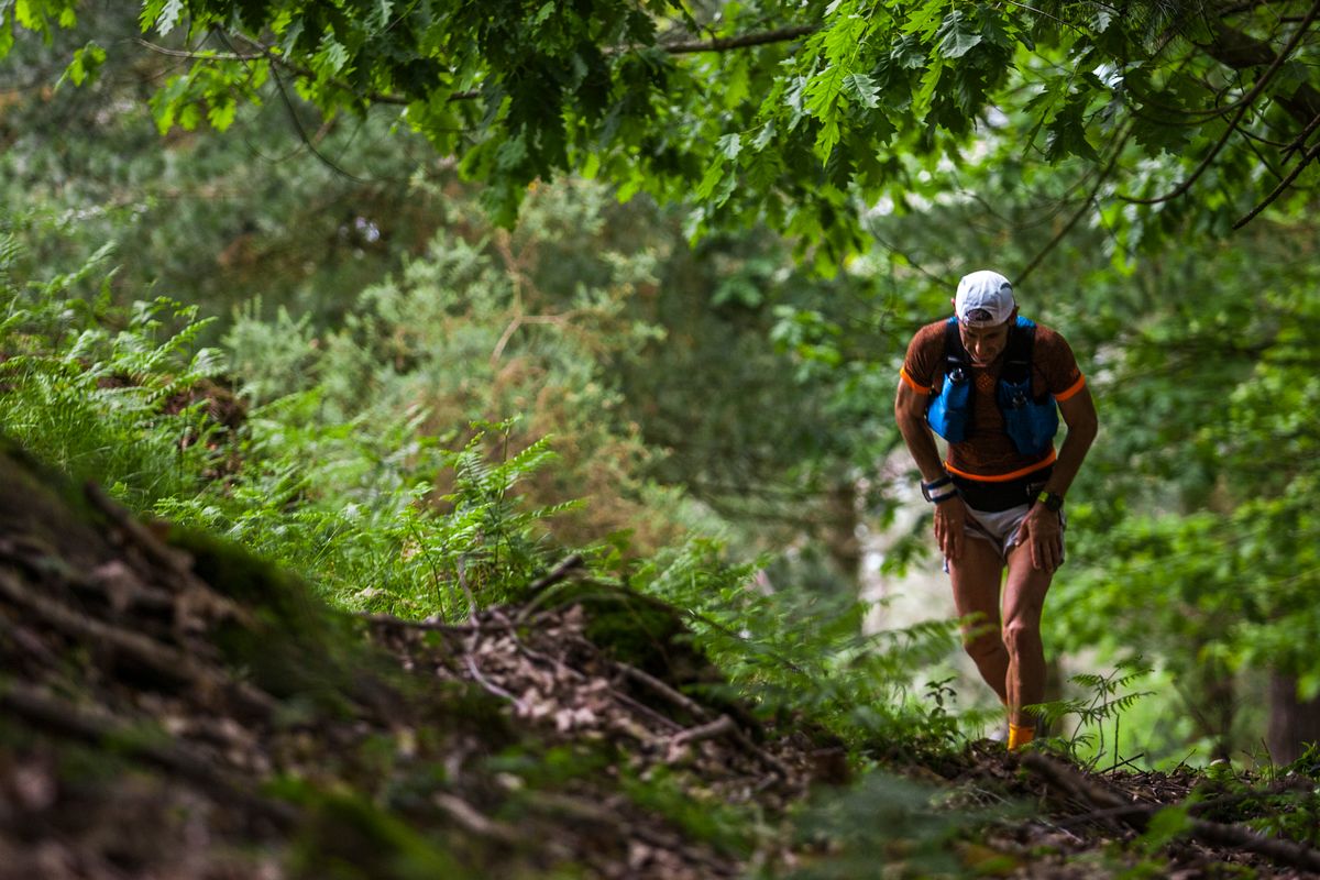 An adventurous man hiking through a lush green forest, embracing nature and the thrill of the outdoors.