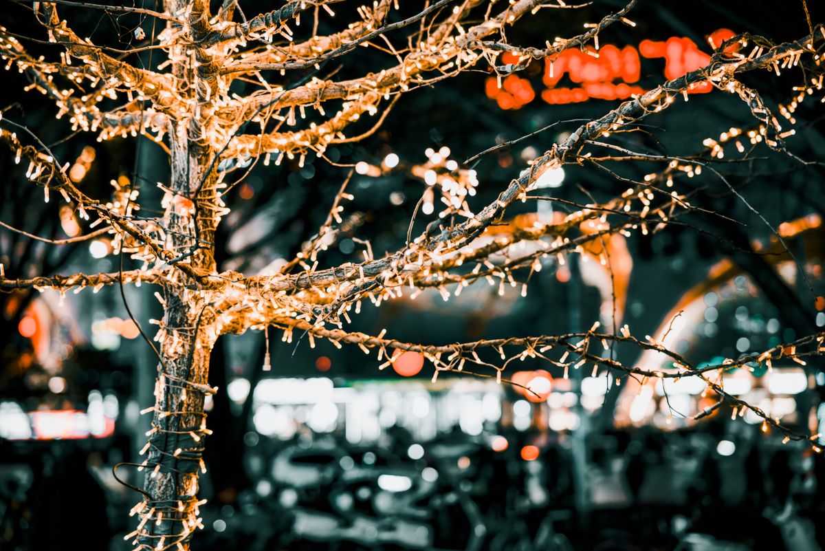 Illuminated tree decorated with string lights in a vibrant city night setting.