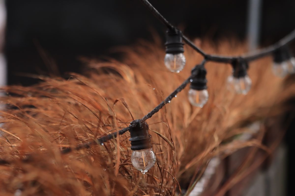 String lights with dew droplets hanging over brown grass, creating a moody outdoor scene.