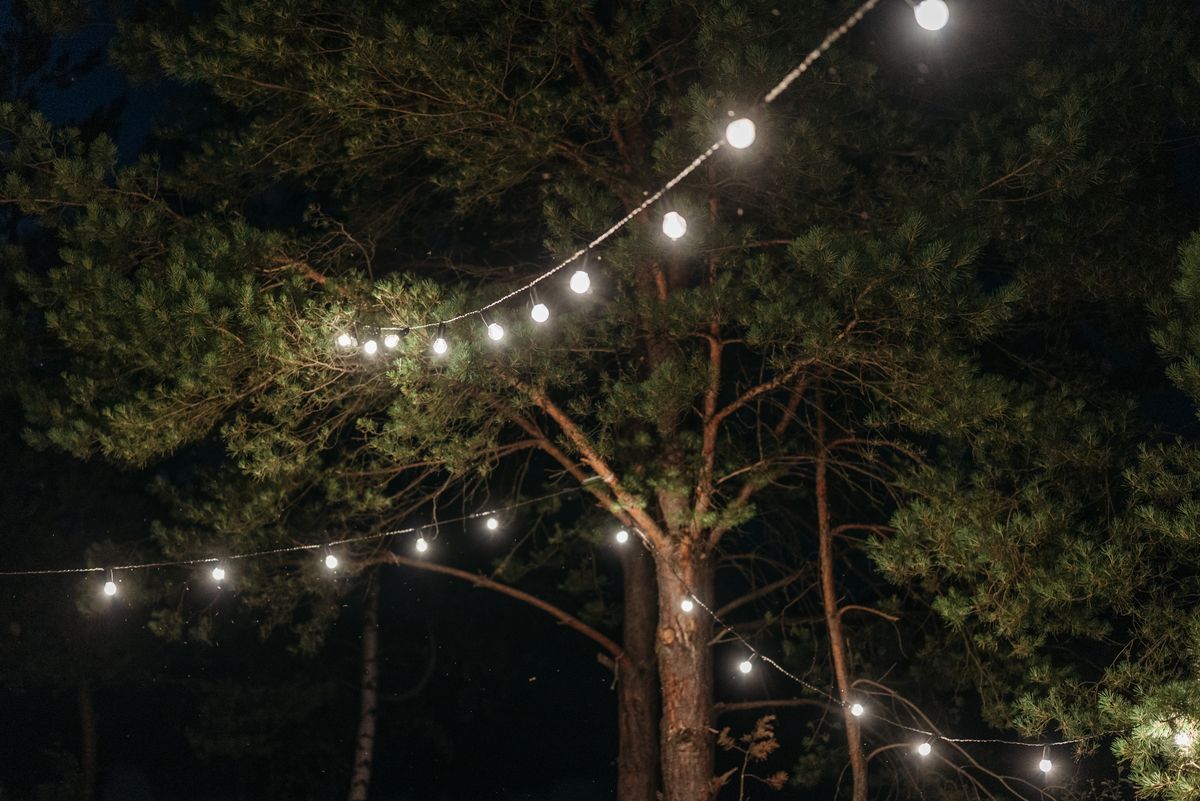 String lights illuminate a tranquil forest at night, creating a magical outdoor scene.