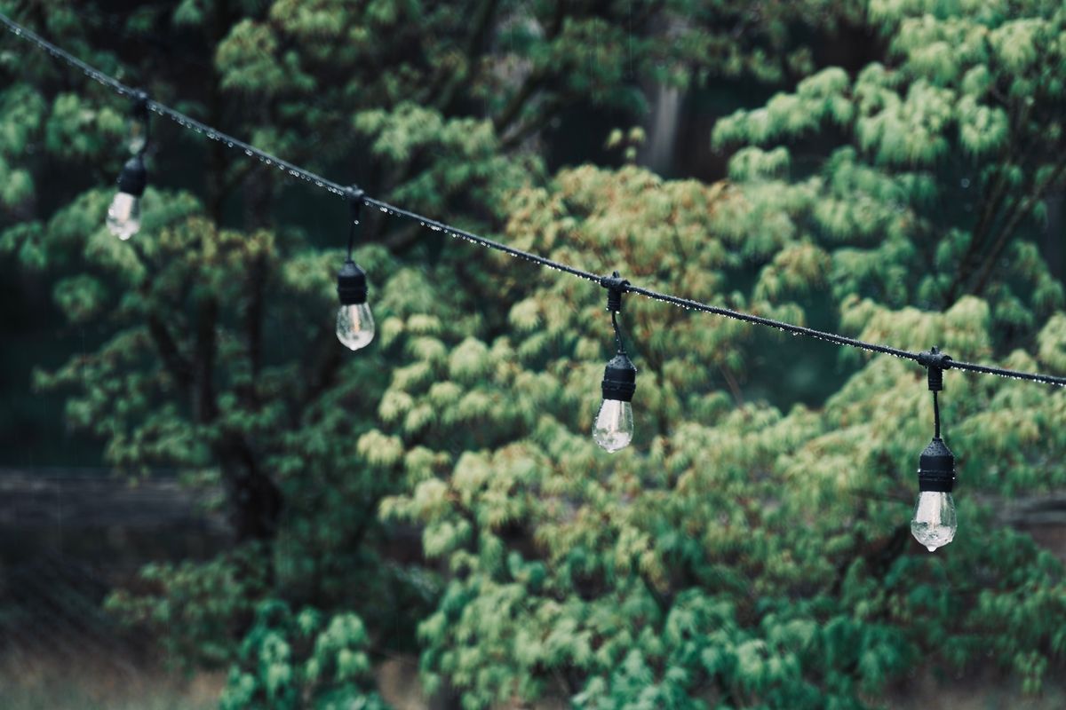 String lights draped across a serene garden scene, enhancing the natural ambiance.