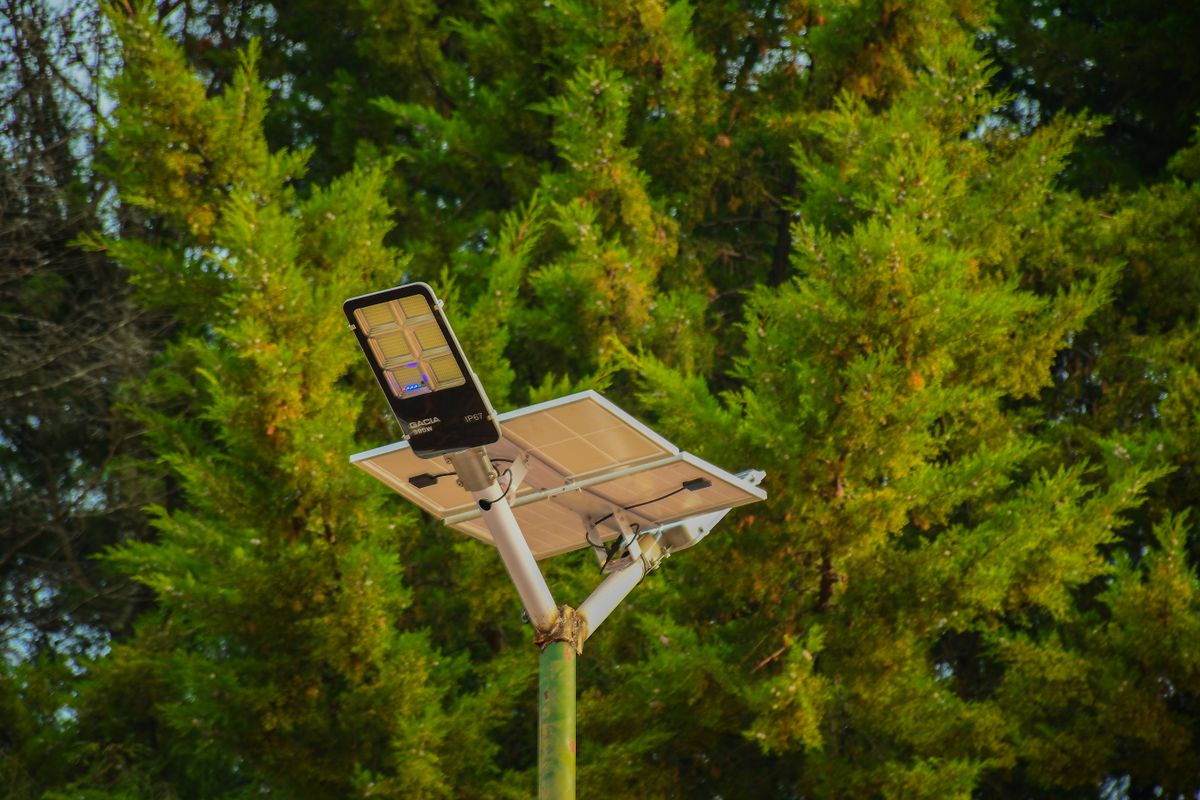 A solar-powered street light set against vibrant green conifer trees, symbolizing sustainable energy.