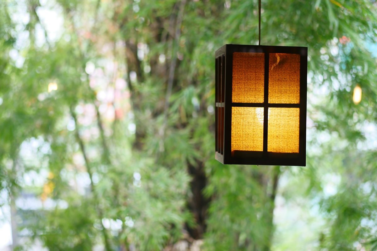 A warm glowing lantern hanging among lush green trees, creating a serene outdoor ambiance.