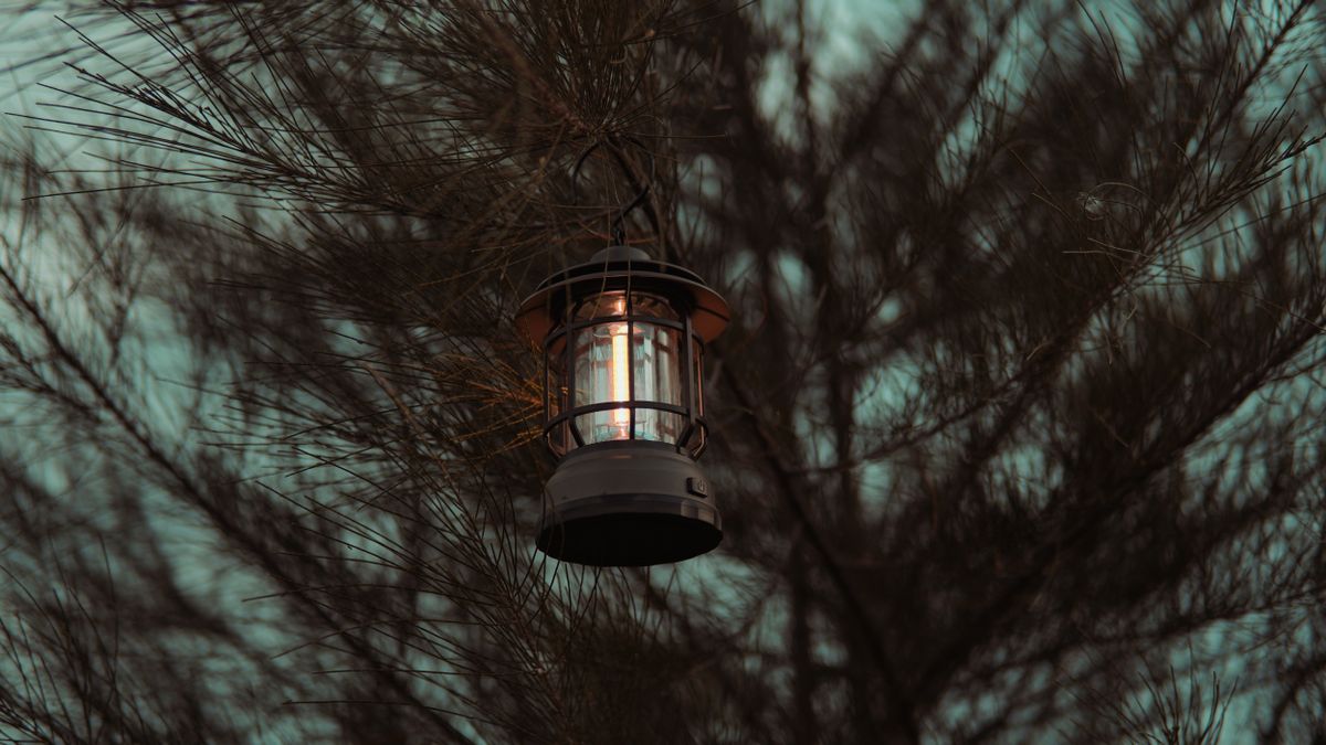 A vintage lantern hanging on a pine tree branch at dusk in Aceh, Indonesia.