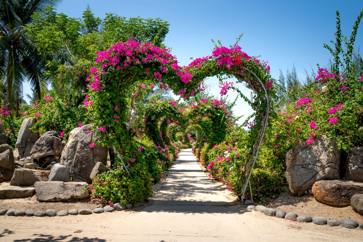 A beautiful garden pathway lined with vibrant pink floral arches in a lush outdoor setting.