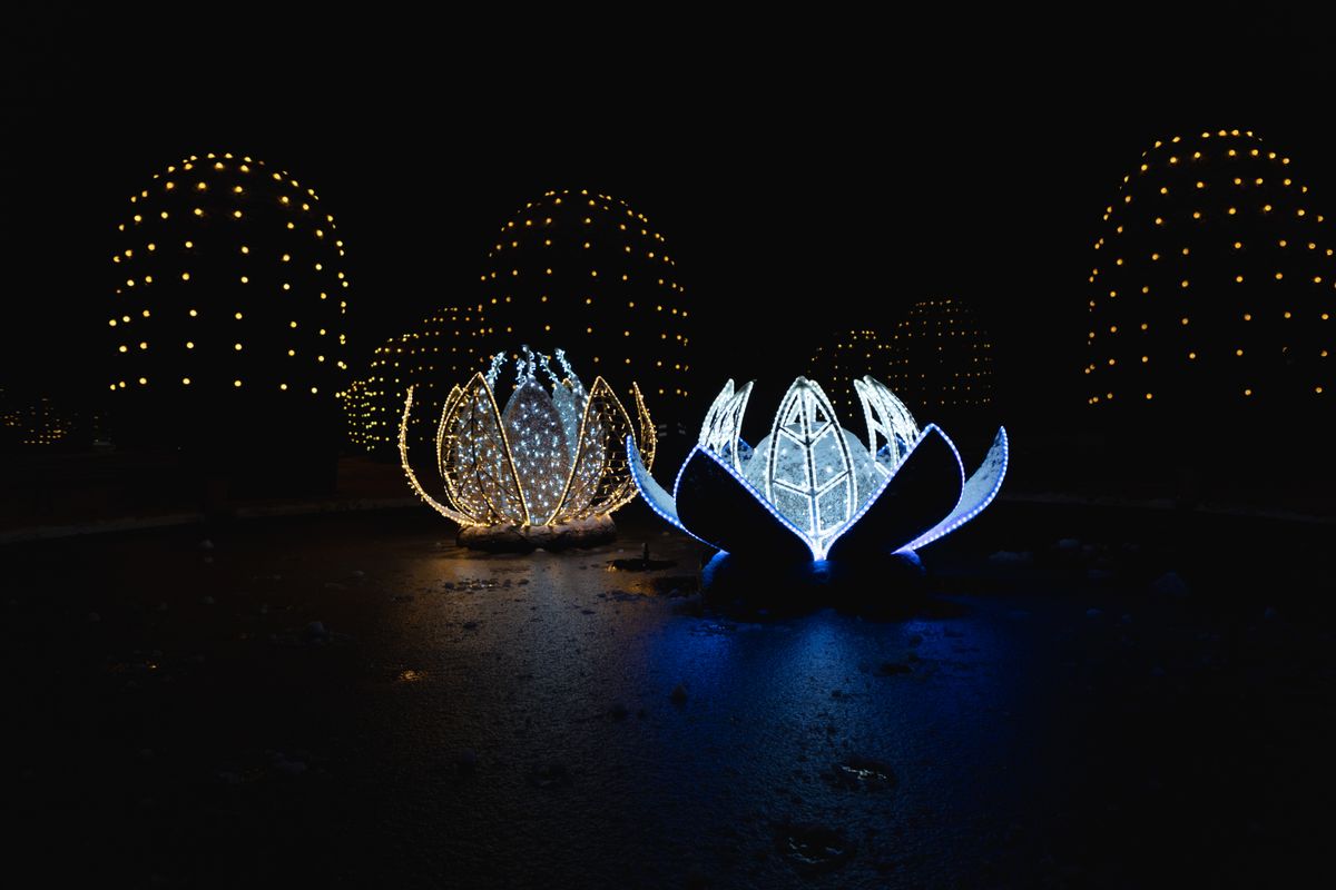 Captivating lotus-shaped lights illuminated in a dark outdoor setting, creating a magical nighttime scene.