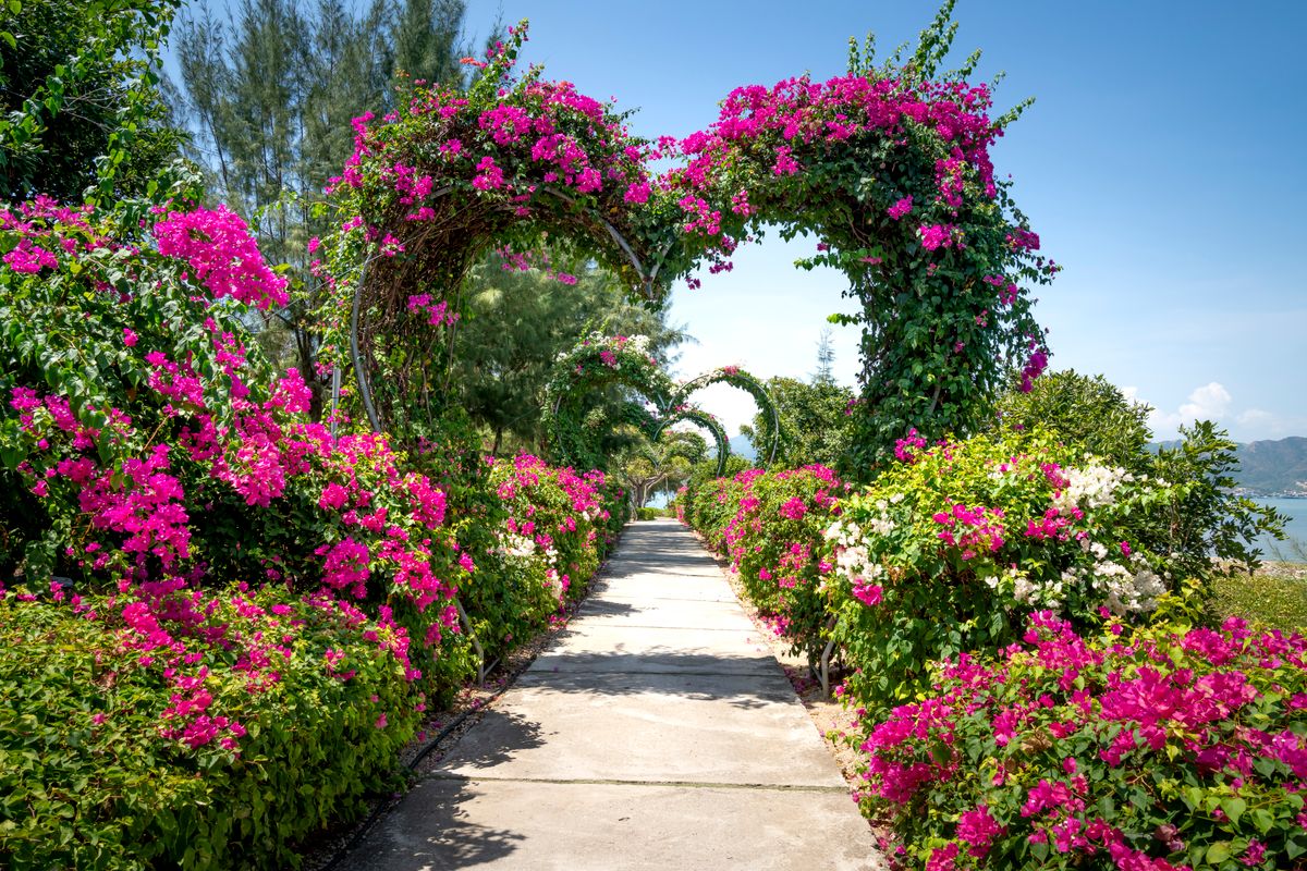 Stunning heart-shaped flower archway with vibrant pink blooms along a sunny garden path.