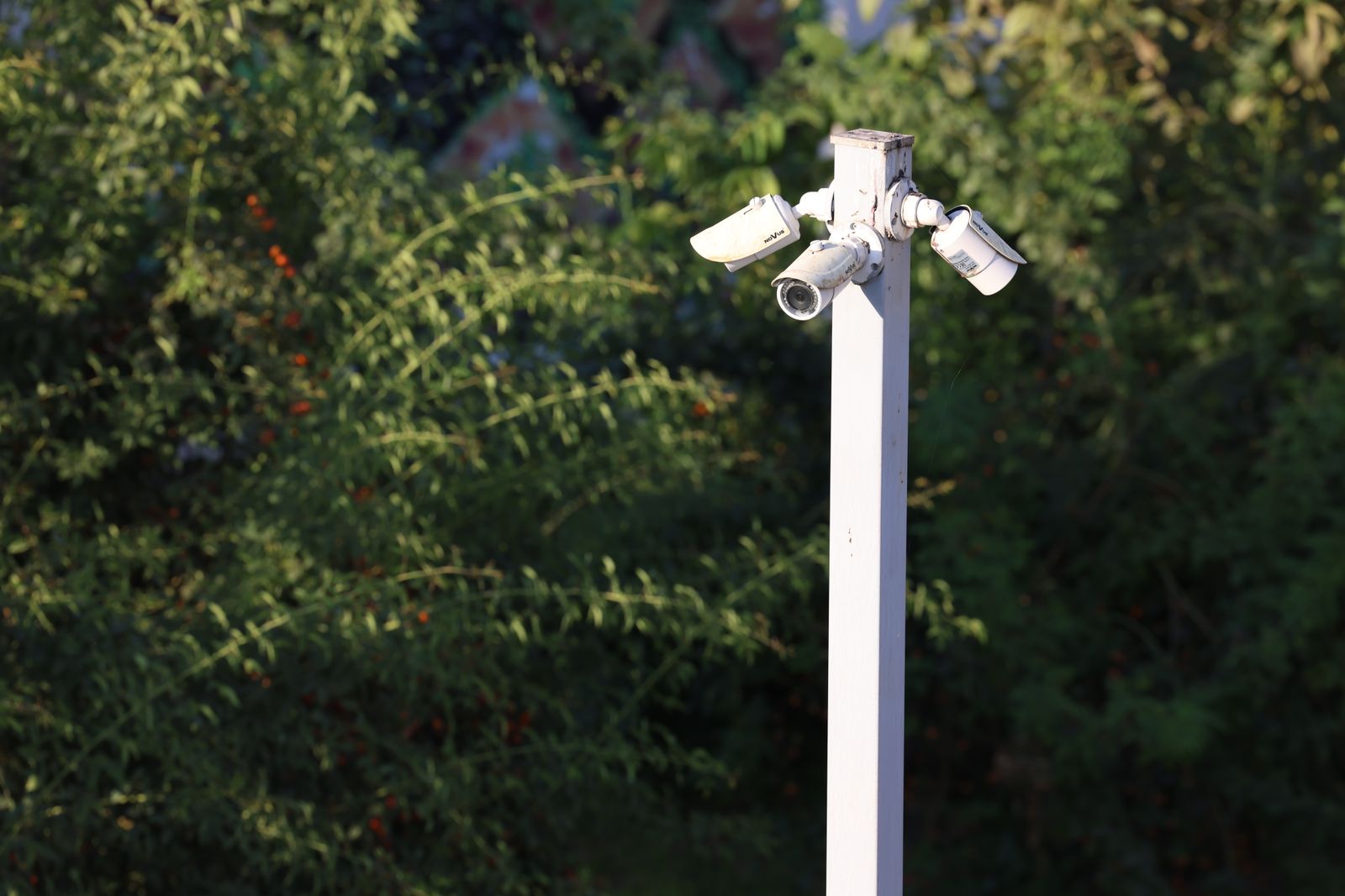 How to Set Up PTZ Cameras to Eliminate Property Blind Spots Completely