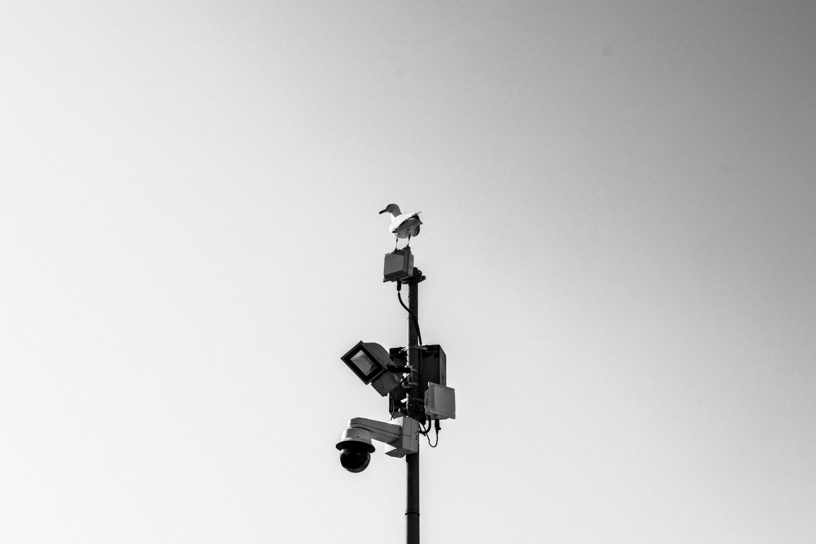 Why Cameras Alert at 3 a.m.: Spiders, Rain, and Other False Triggers