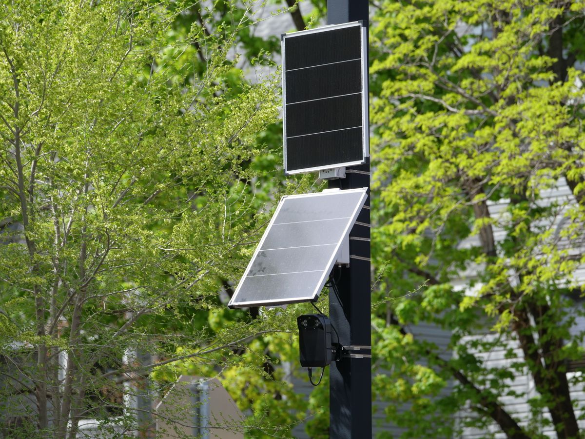 A modern solar-powered surveillance camera on a street pole amidst green foliage.