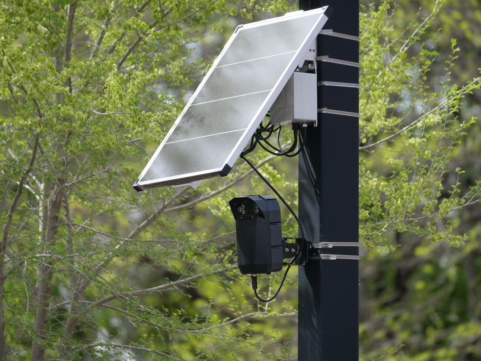 Solar Camera Motion Alerts: Schedules, Cooldowns, and Who Gets Notified
