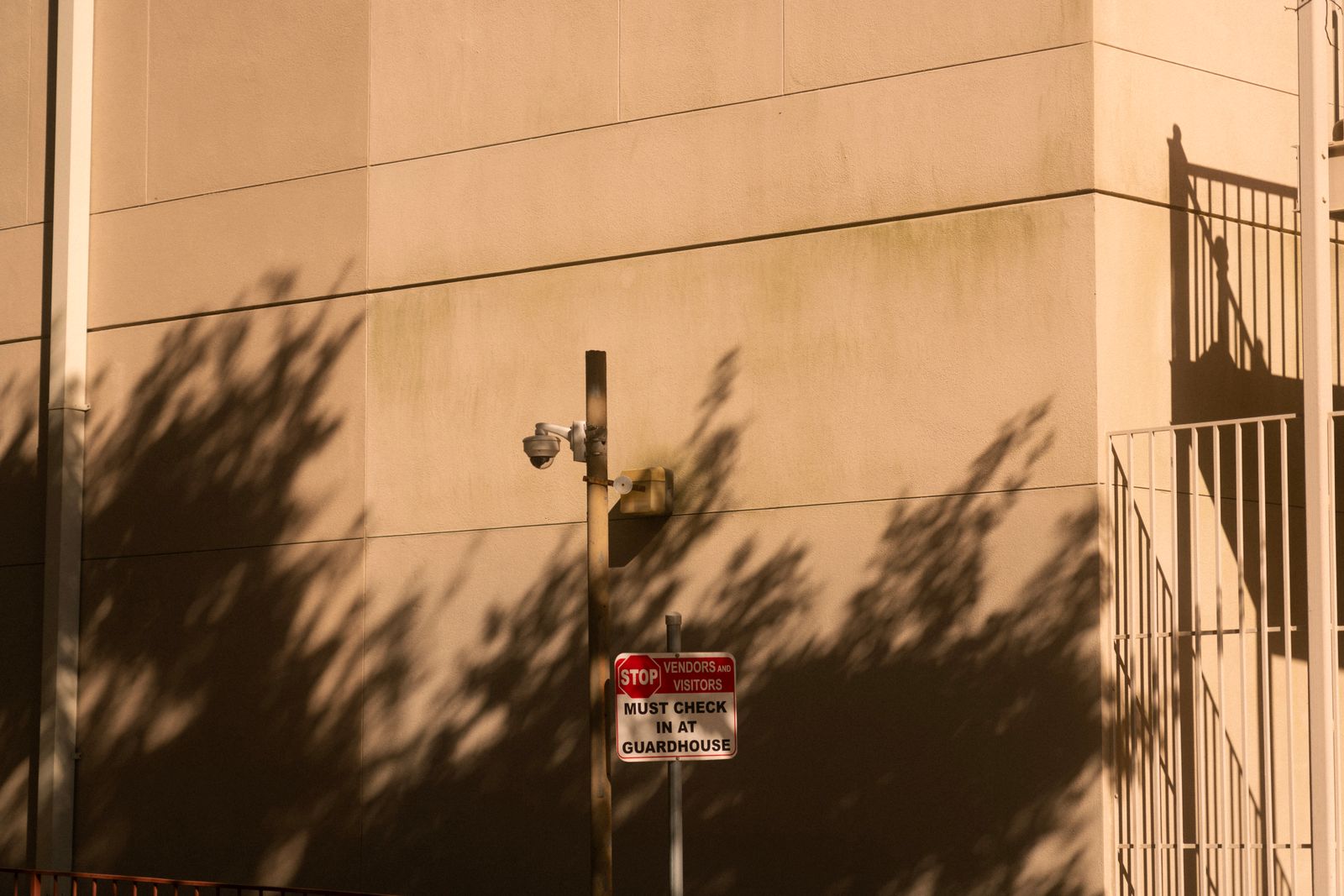 How to Draw Motion Detection Zones That Ignore Streets, Shadows, and Trees