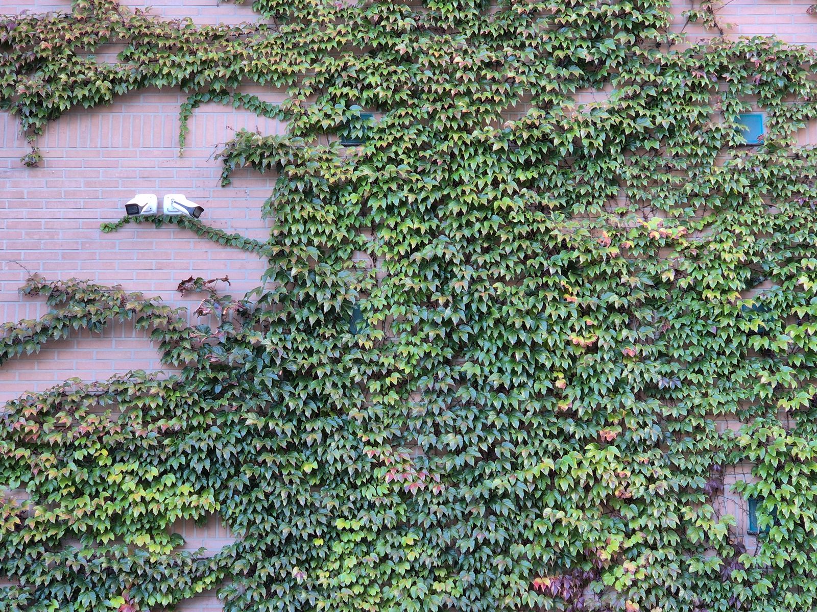 How to Optimize Security Camera Video Retention and Stop Overpaying for Cloud Plans