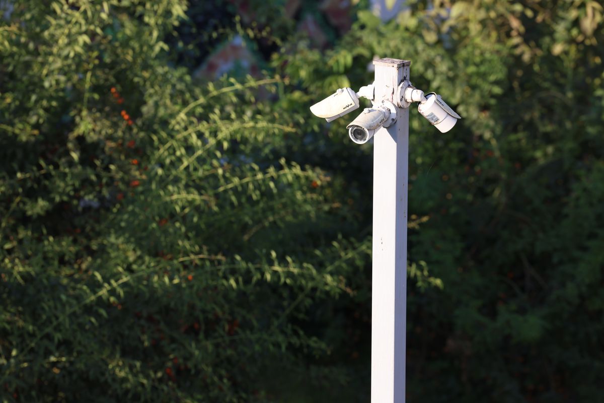 Cluster of surveillance cameras mounted outdoors amidst green foliage for public safety.