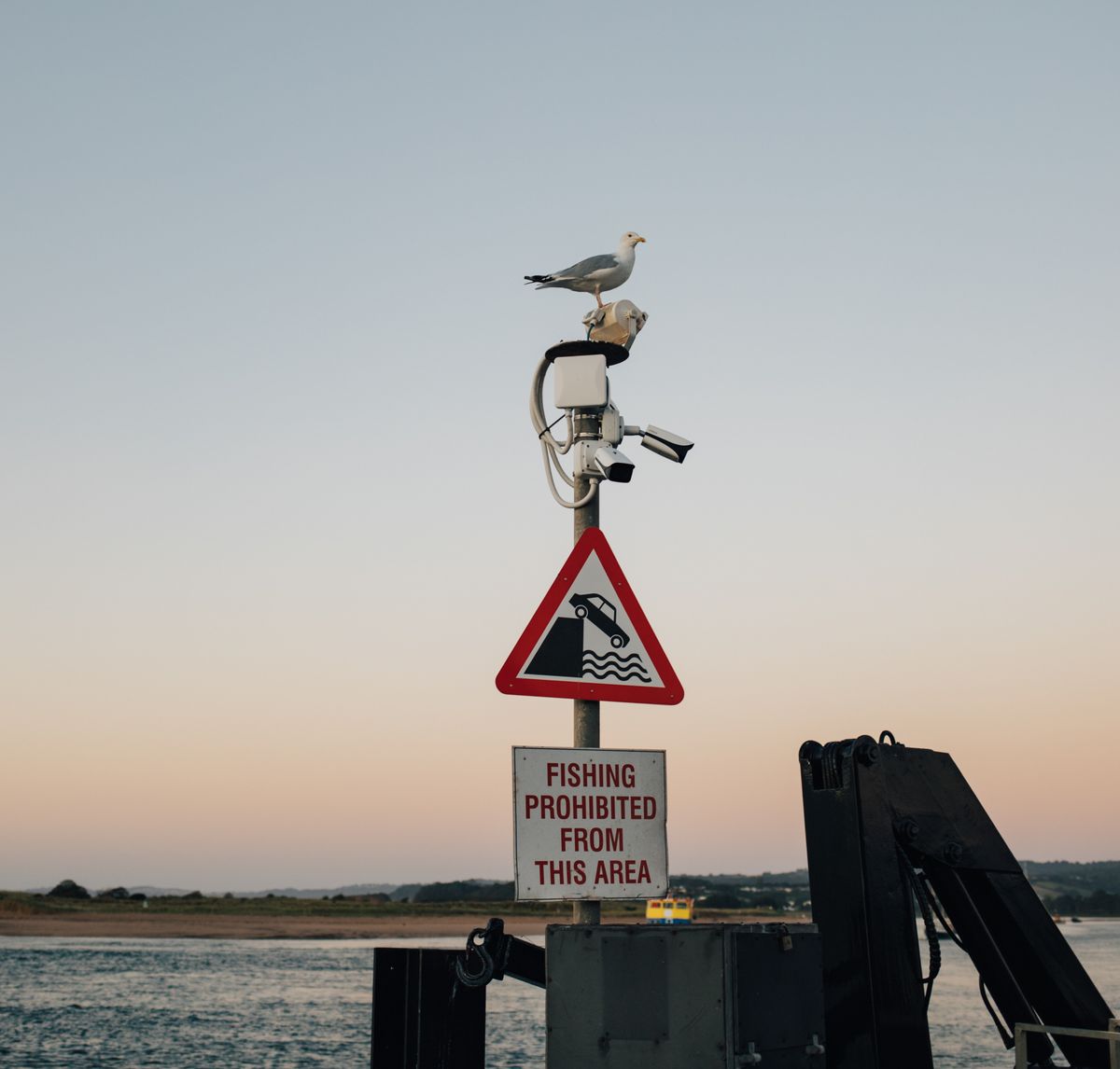 A seagull atop a surveillance camera near a no fishing sign by the water.