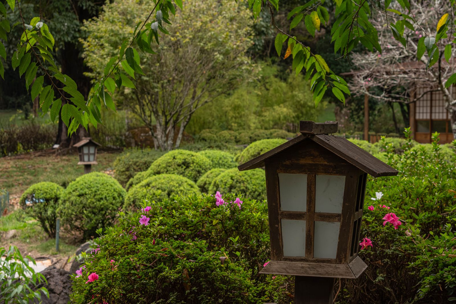 Lighting Allotment and Community Garden Paths: A Season-by-Season Guide