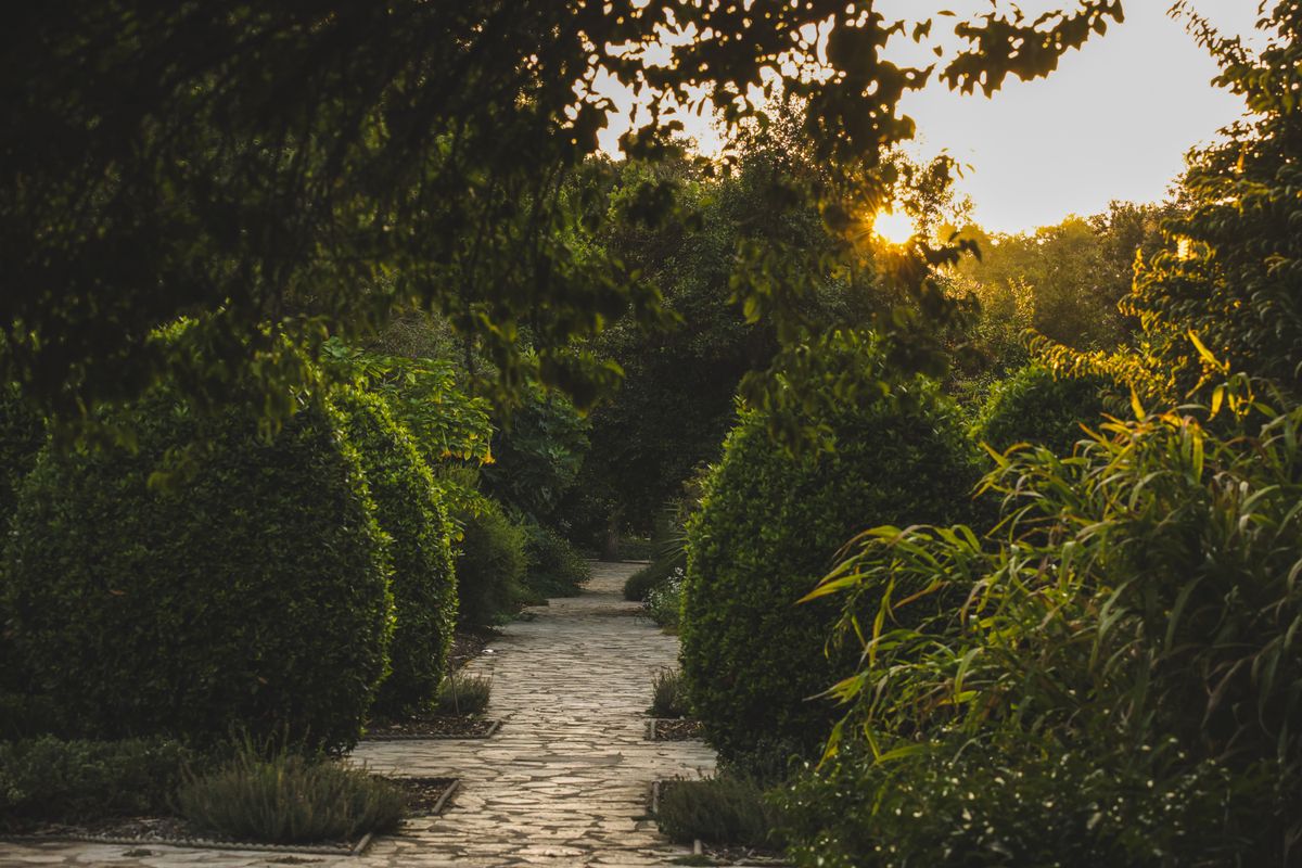 A serene stone pathway through a lush garden at sunset, perfect for nature enthusiasts.