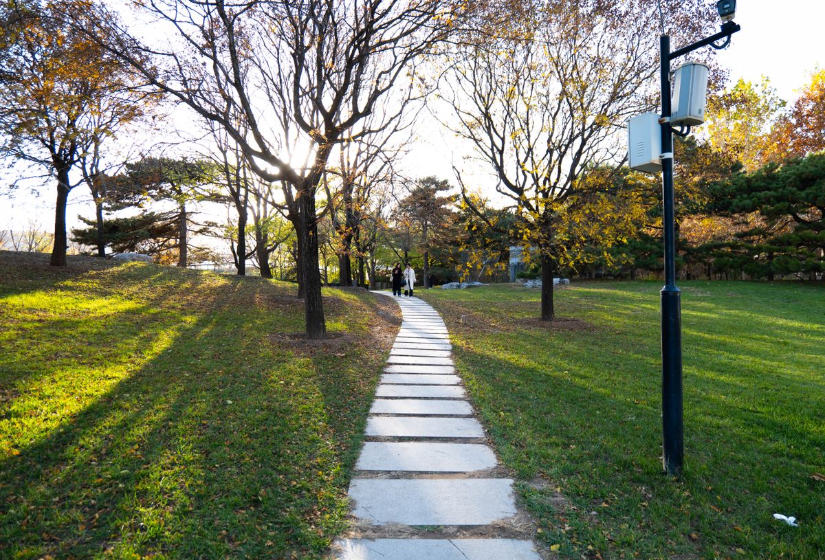 Scenic park pathway with autumn foliage and sunlit trees, perfect for outdoor strolls.