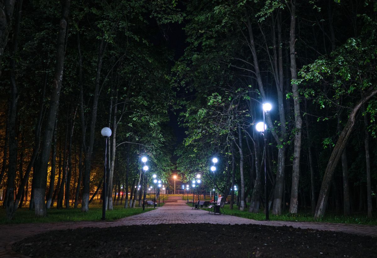 Tranquil night scene of a park pathway illuminated by streetlights and surrounded by trees.