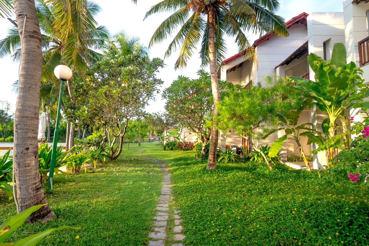 Scenic walkway lined with palm trees and lush greenery in a tropical resort garden.