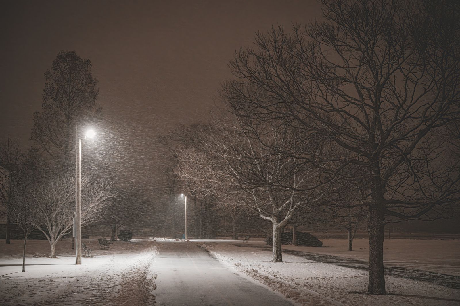 Yards That Puddle: Choosing and Placing Path Lights Where Water Collects