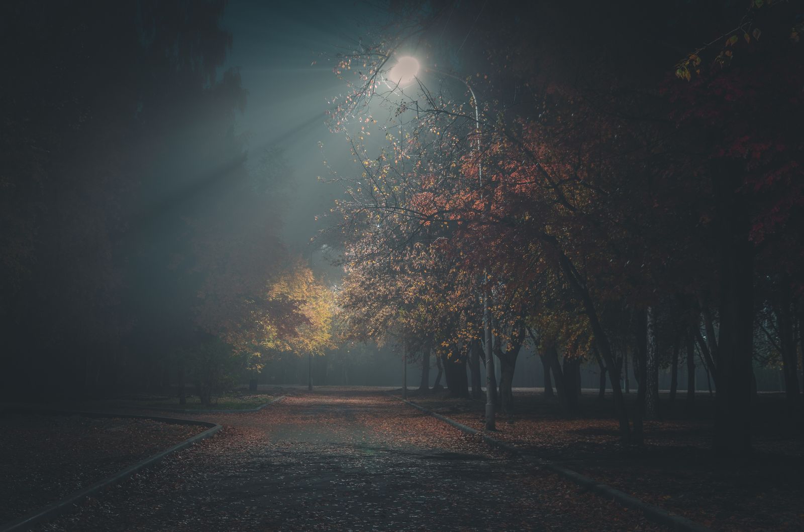 Renter's Guide to Solar Pathway Lighting: No Wiring, Nothing Permanent