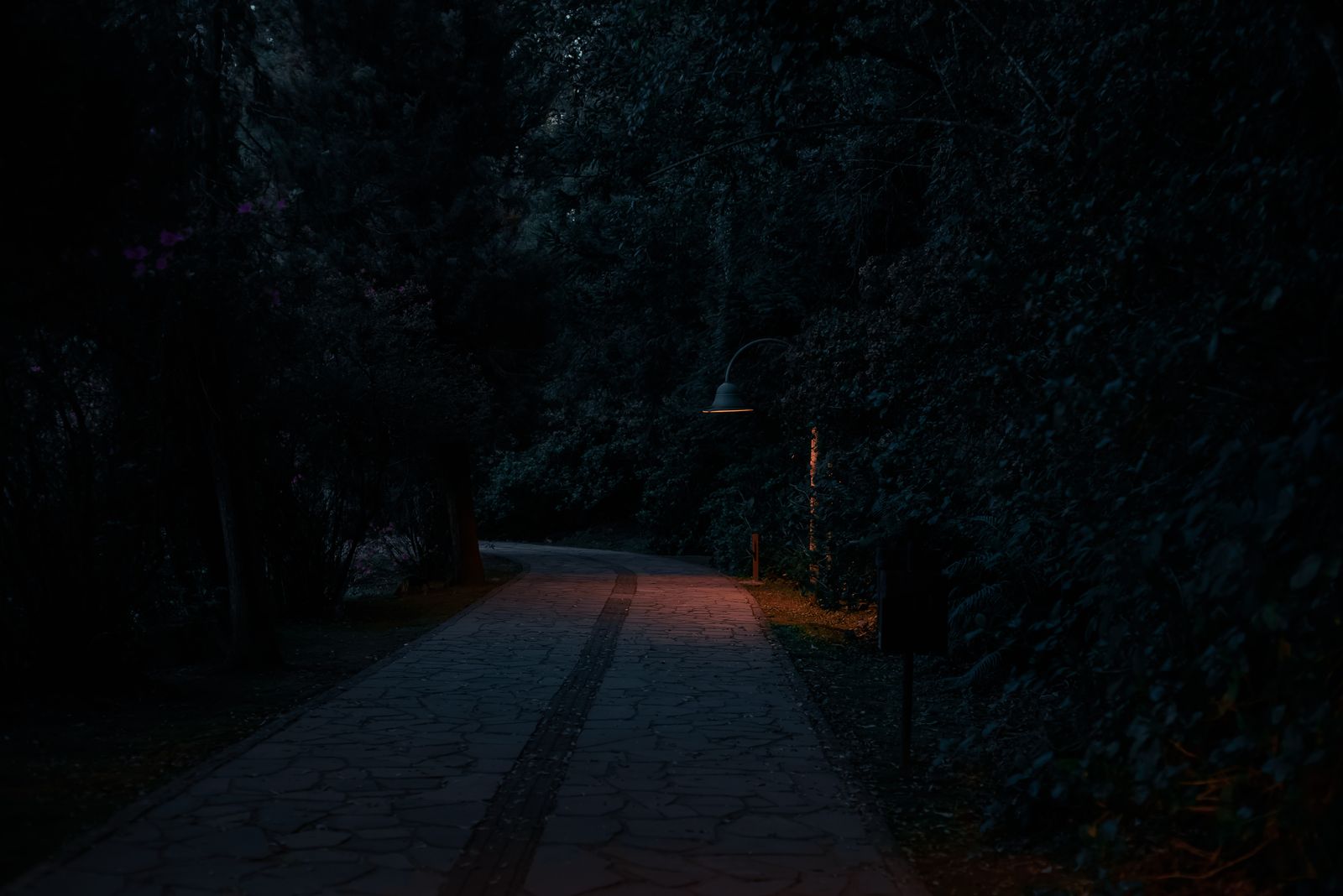 Solar Pathway Light Brightness Comparison: Finding the Ideal Lumens for Your Walkway