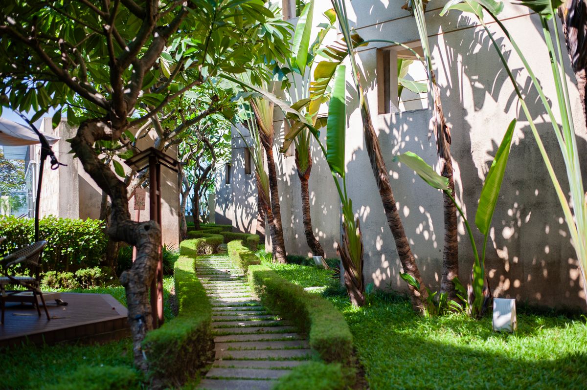 A tranquil garden path with lush tropical plants in bright daylight, perfect for a peaceful retreat.