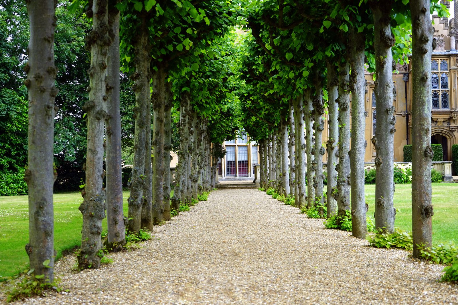Walkway Lighting for Accessibility: Aging Eyes, Glare, and Trip Hazards