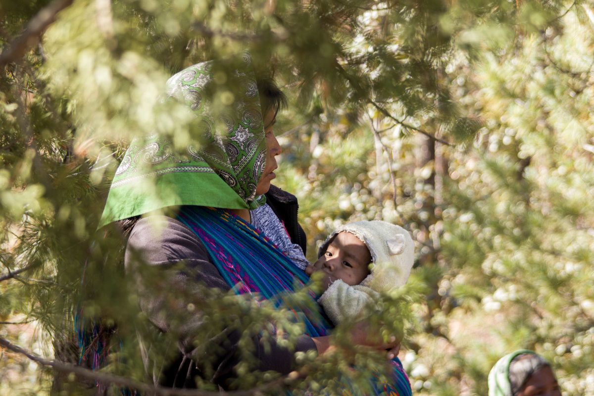 A mother carrying her baby in a forest, surrounded by nature.