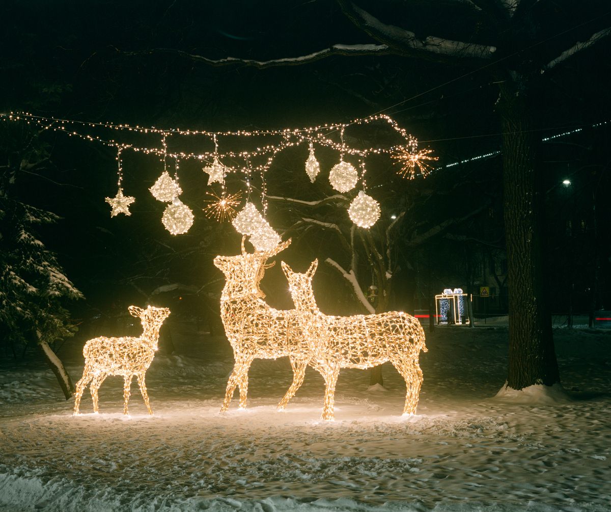 Festive illuminated deer figures with fairy lights create a magical winter night scene.
