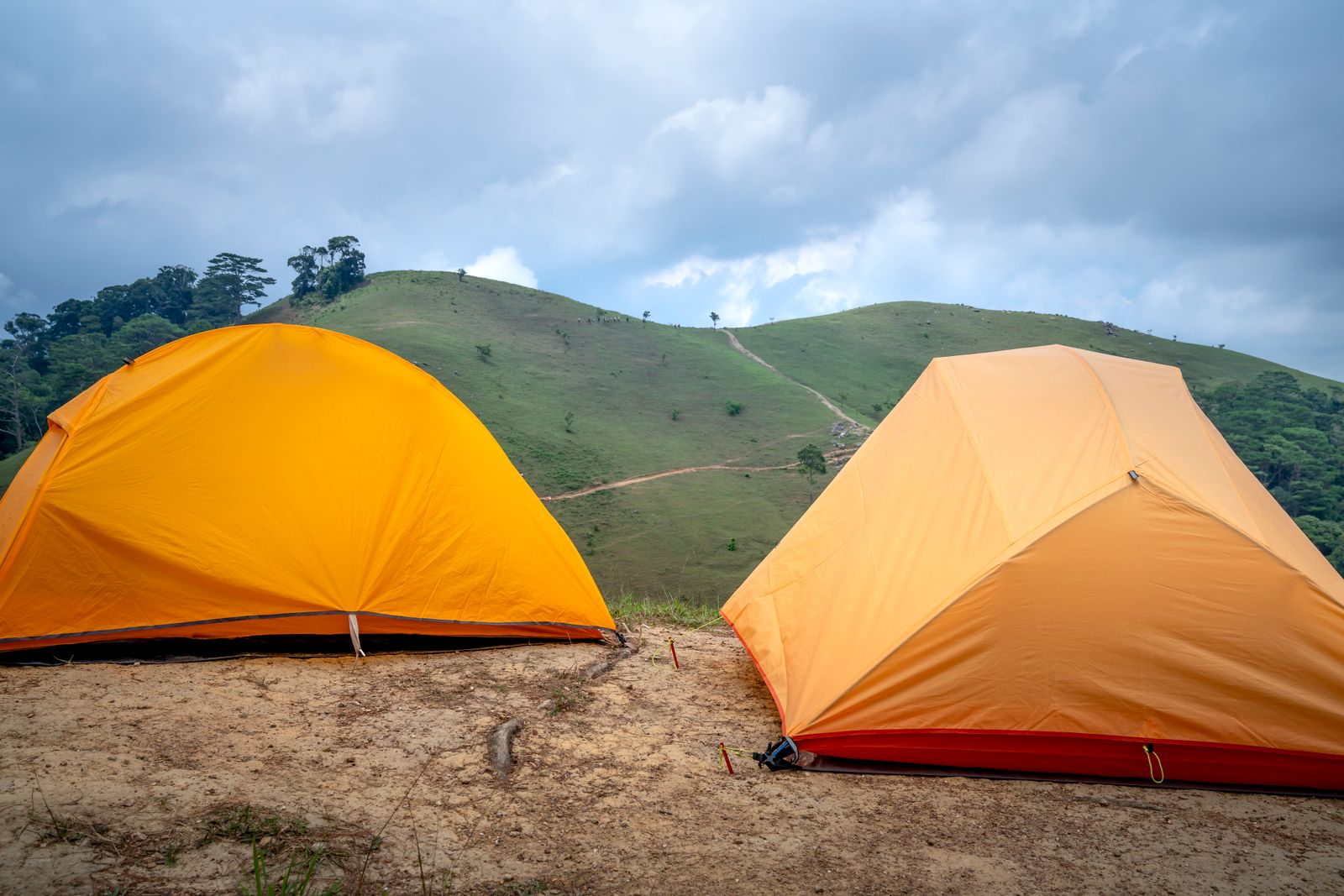 How to Choose a Portable Solar Insect Killer for Multi-Day Camping Trips