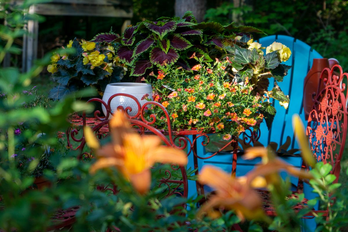 Vibrant garden setting with potted flowers and ornate chairs. Perfect for outdoor relaxation themes.