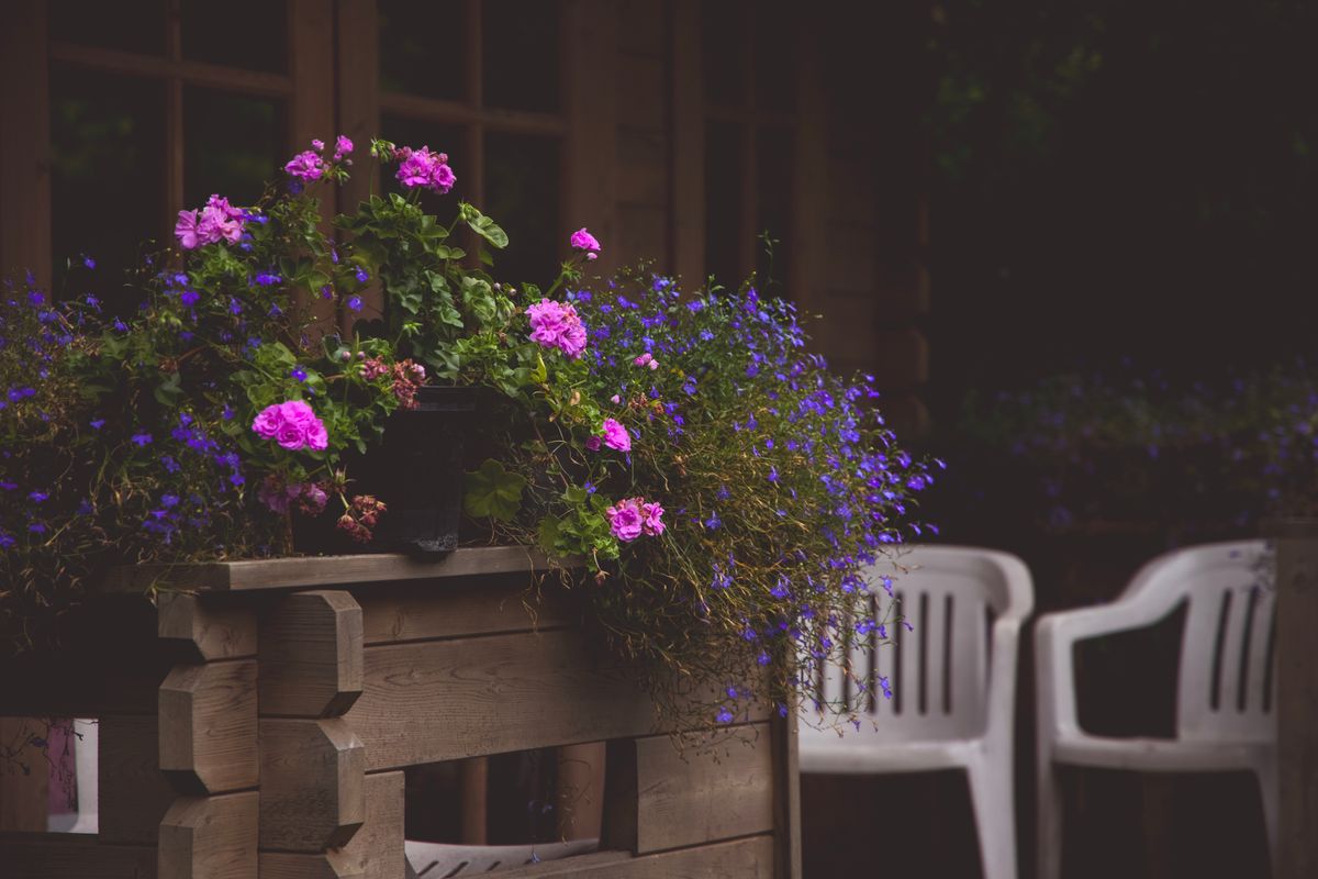 A cozy outdoor patio in Warsaw with vibrant flowers and seating, perfect for summer relaxation.