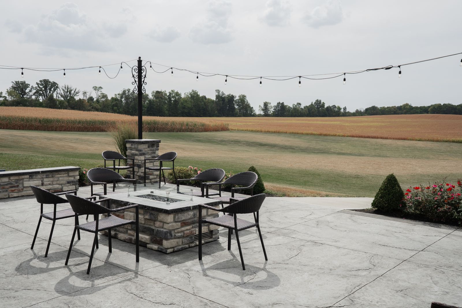 Why Isn't My Solar Bug Zapper Working? Field Fixes That Actually Help