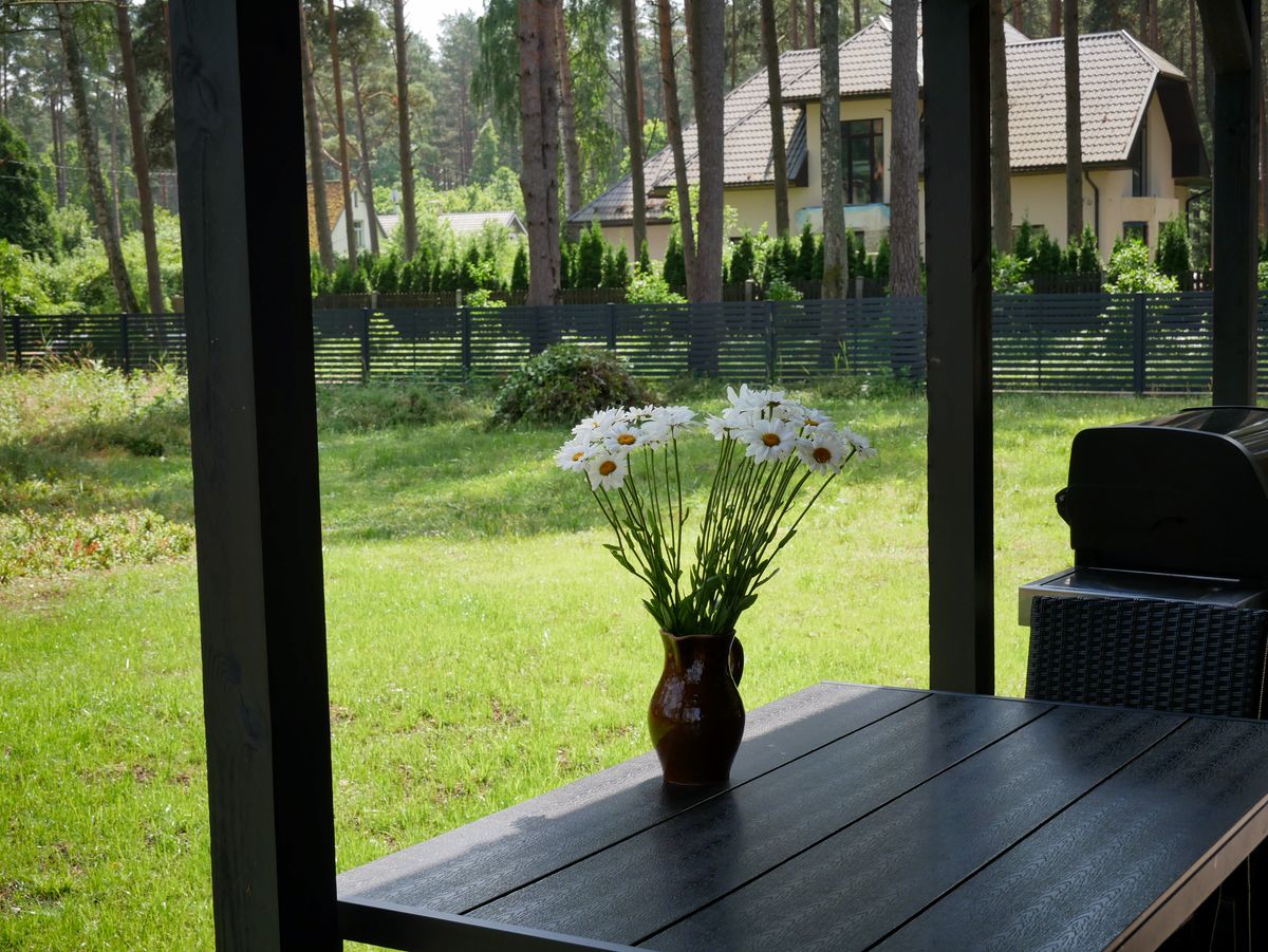 A serene patio scene showcasing daisies in a vase with a lush garden and modern house backdrop.