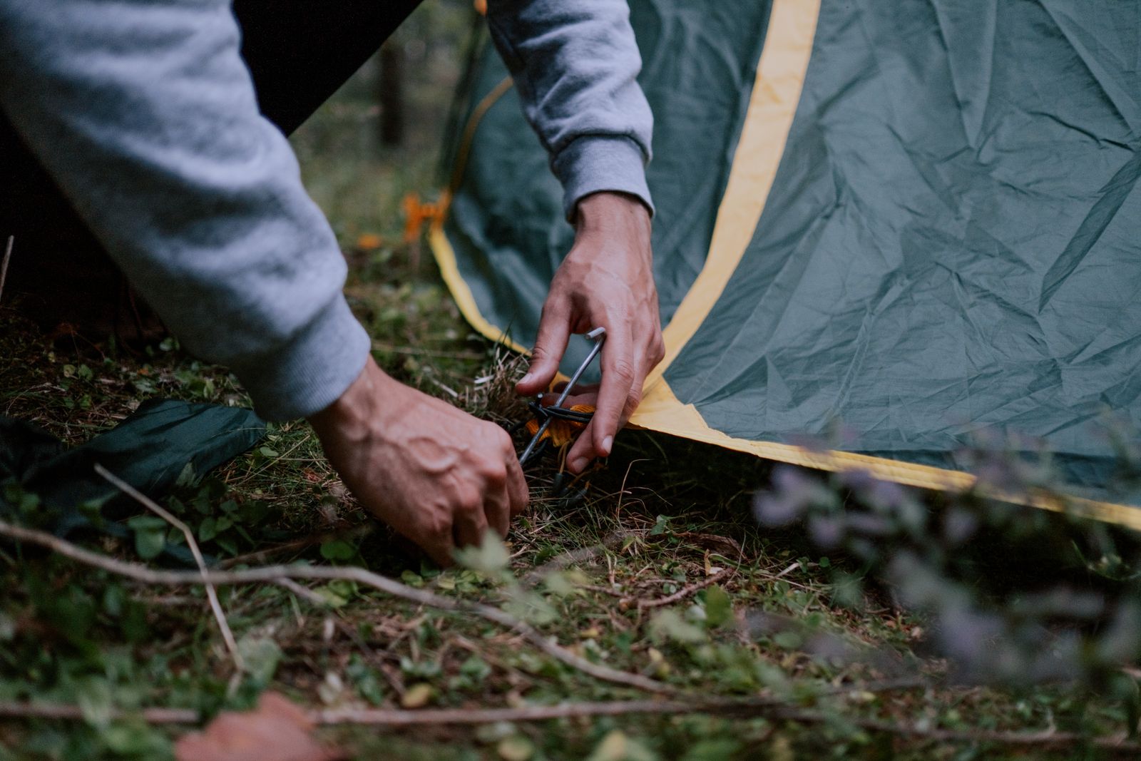 Solar vs. Battery-Powered Bug Zappers: Which Power Source Wins at a Campsite?