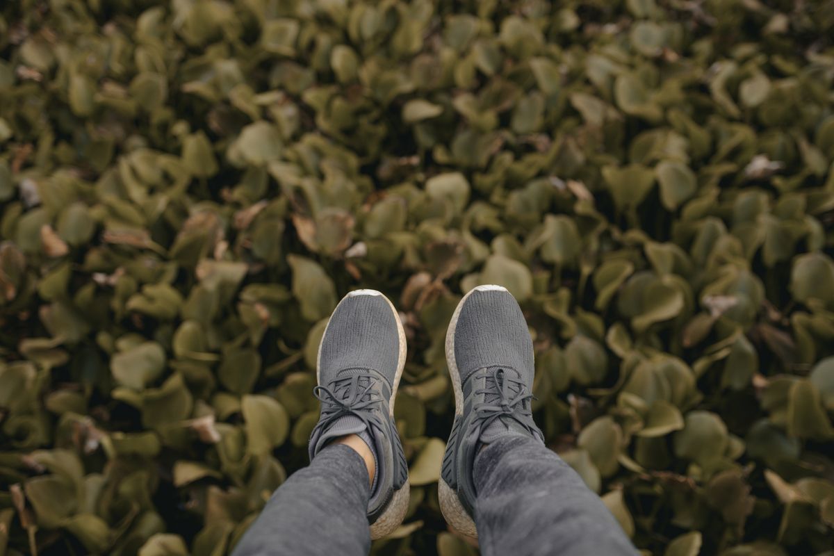 Point of view shot of feet in sneakers dangling above vibrant green foliage.
