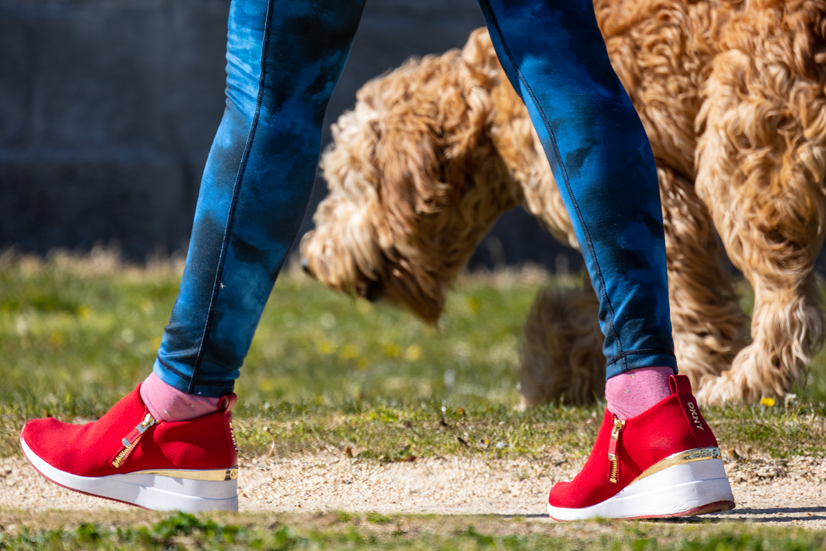 Bright red sneakers paired with blue jeans walking a furry dog on a sunlit path.