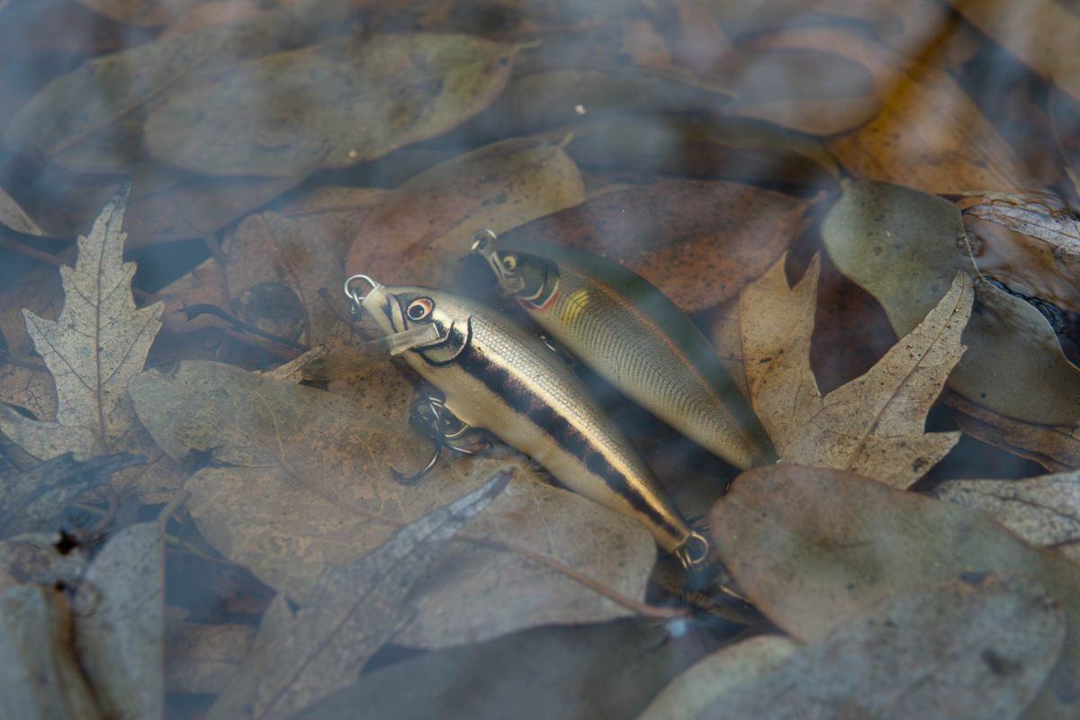 Close-up of fishing lures submerged in water with autumn leaves, showcasing an outdoor fishing theme.