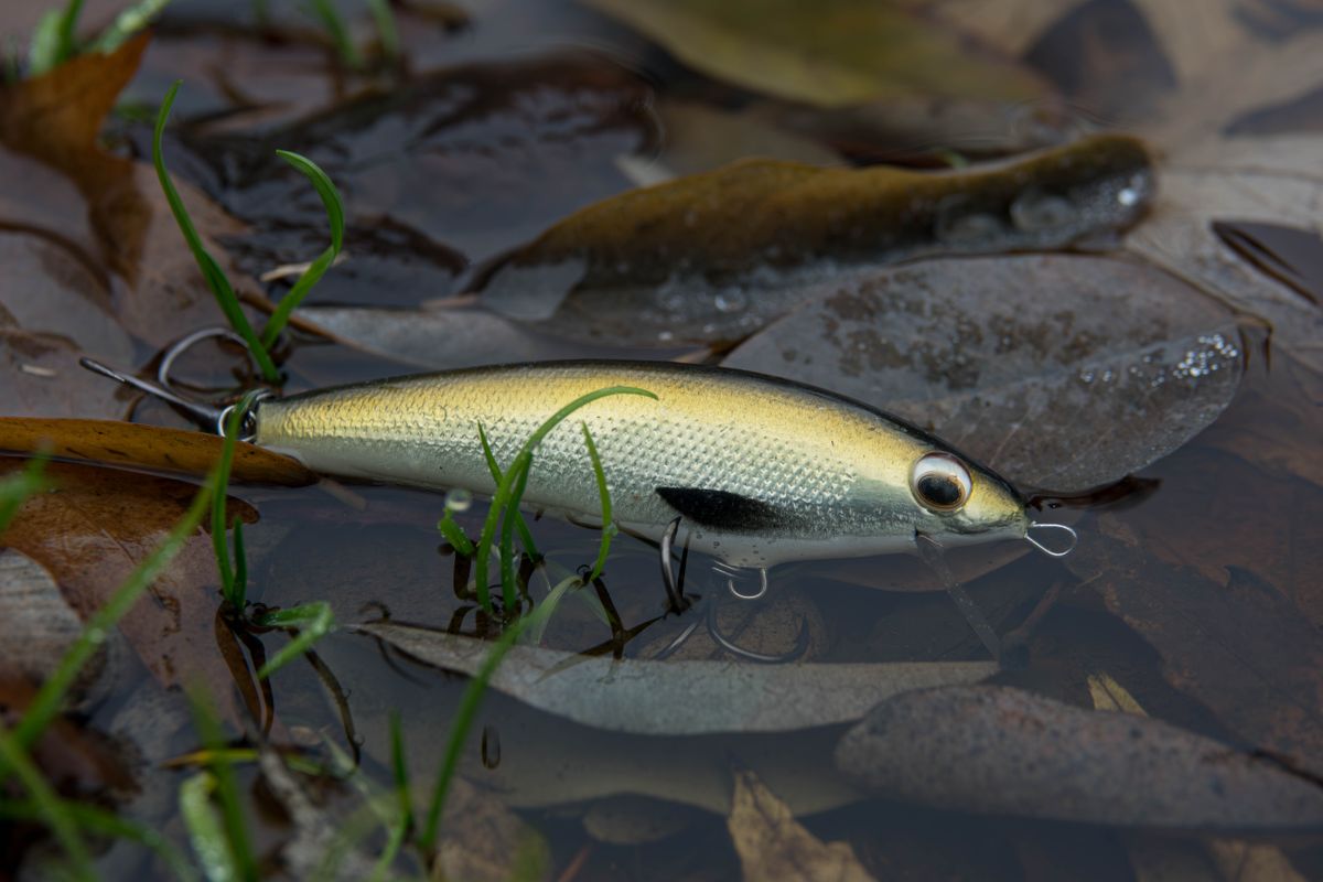 A lifelike fishing lure in water surrounded by autumn leaves and grass.