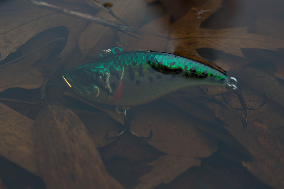Realistic fishing lure floating on water surrounded by autumn leaves.