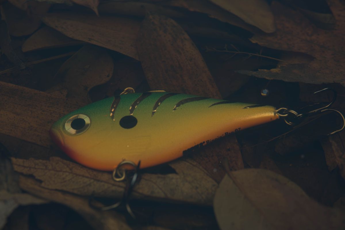 Vibrant fishing lure submerged among leaves in water, perfect for angling themes.