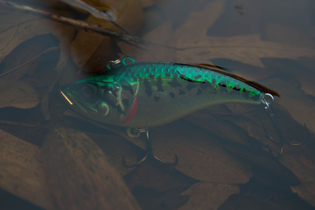 Green and blue fish lure floating in water surrounded by leaves, perfect for fishing concepts.