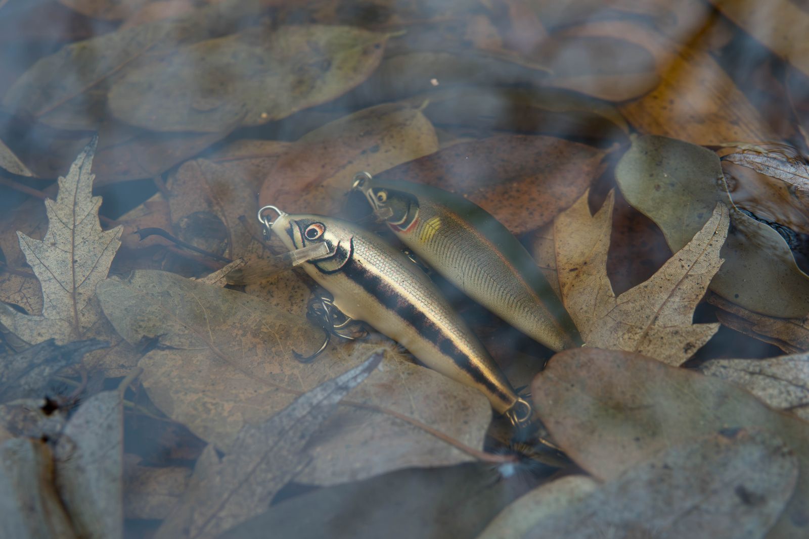 Close-up of fishing lures submerged in water with autumn leaves, showcasing an outdoor fishing theme.