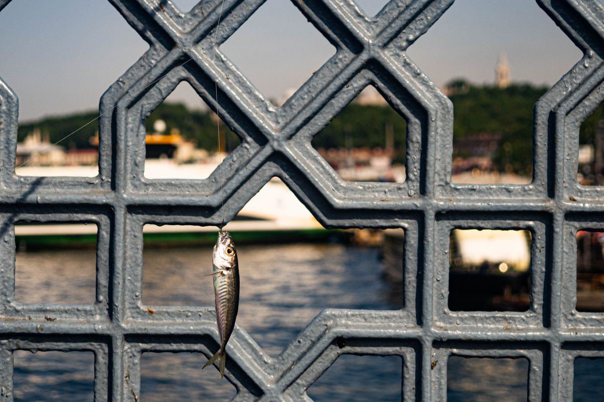 A fish hangs on a fishing string against a geometric bridge railing with a river background.