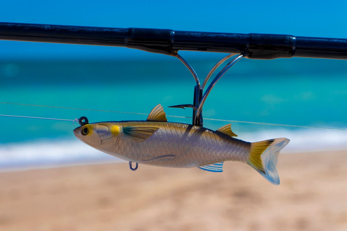 Detailed image of a fishing lure on a rod by the ocean, perfect for fishing themes.