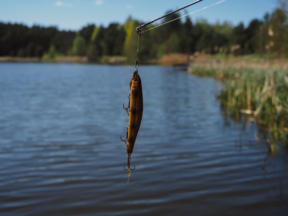 A fishing lure hangs over a calm lake, surrounded by trees on a sunny day.