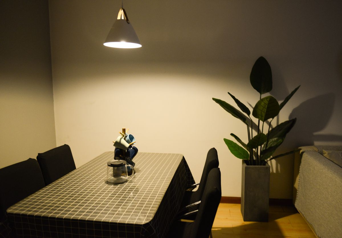A modern dining room setup with stylish lighting, featuring a table, chairs, and a large indoor plant.