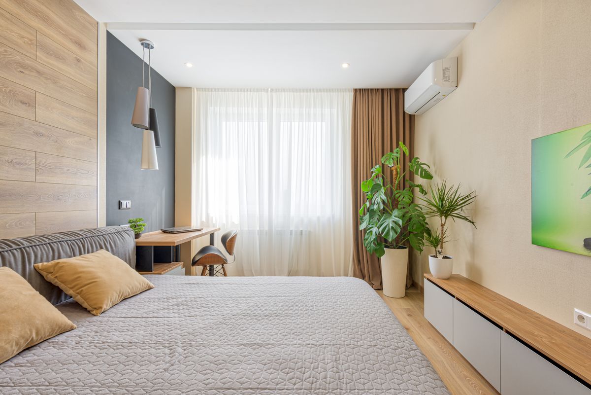 A modern bedroom featuring cozy decor, natural light, and indoor plants.